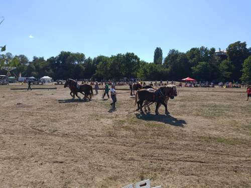 IMG_20260808_153712